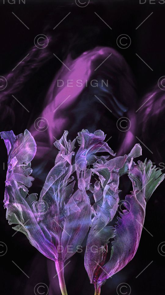 香云纱印花花型图片