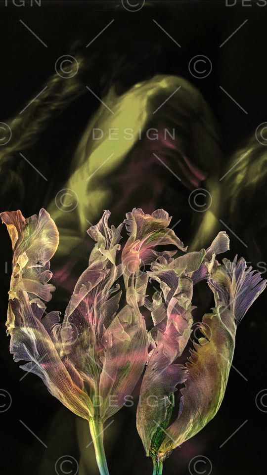 香云纱印花花型图片