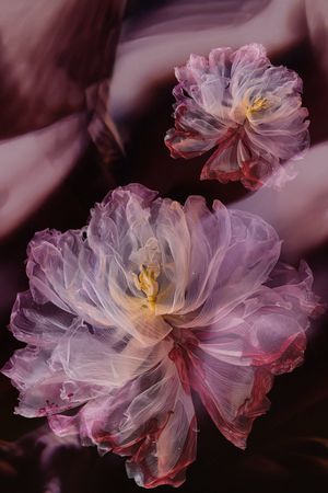 香云纱印花花型图片