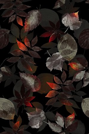 黑底花卉印花花型图片