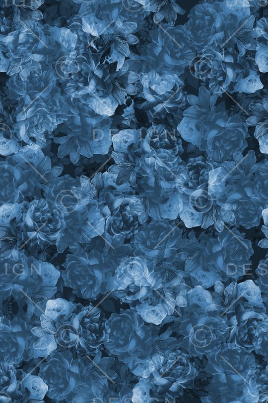 水彩印花花型图片