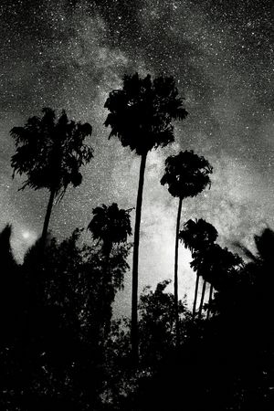 星空印花花型图片