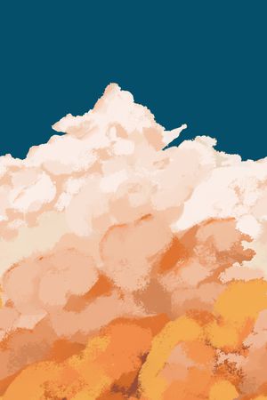 天空印花花型图片