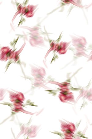 花卉印花花型图片
