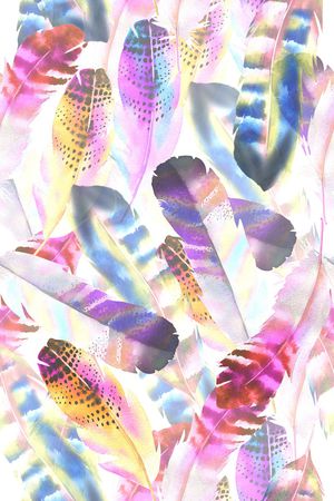 羽毛印花花型图片