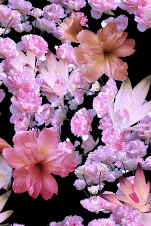 花印花花型图片