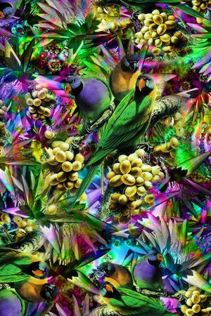 鹦鹉印花花型图片
