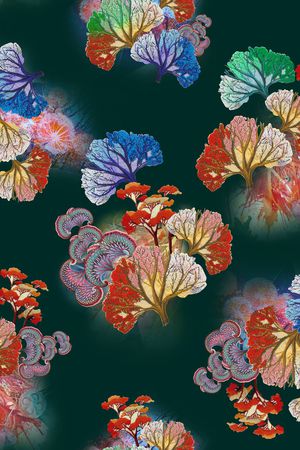 中老年秋冬女装印花花型图片