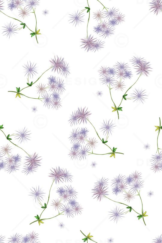 蒲公英印花花型图片