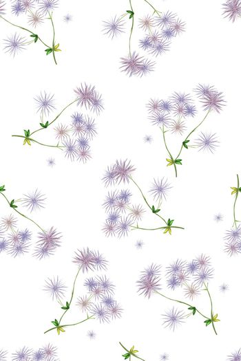 蒲公英印花花型图片