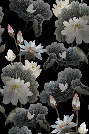 荷花印花花型图片