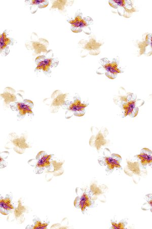 花卉印花花型图片