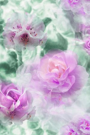 花卉印花花型图片
