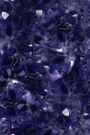 女装印花花型图片