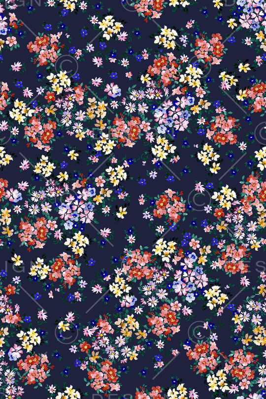 女装印花花型图片