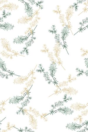 女装印花花型图片