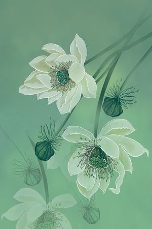 真丝印花花型图片