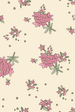 女装印花花型图片