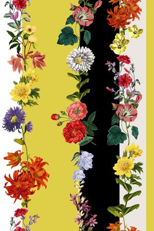 女装印花花型图片
