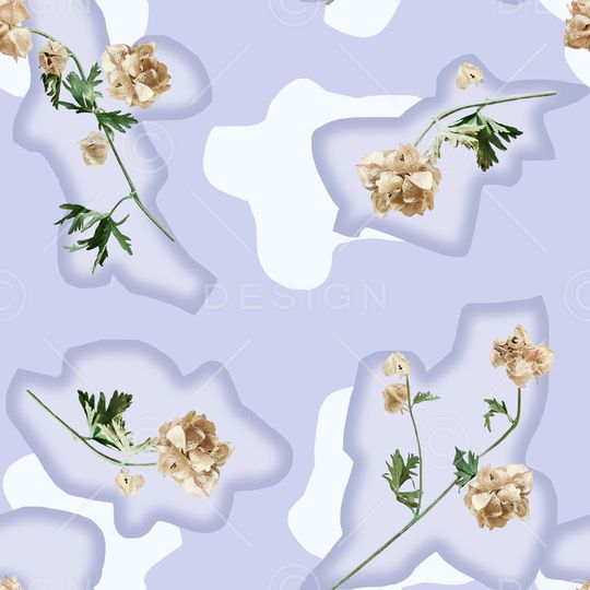 女装印花花型图片