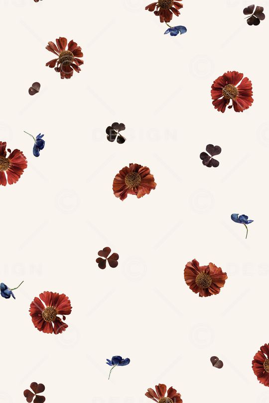 女装印花花型图片