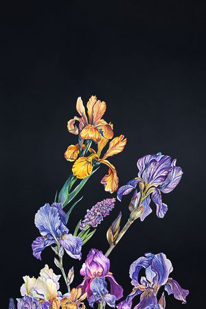 真丝印花花型图片