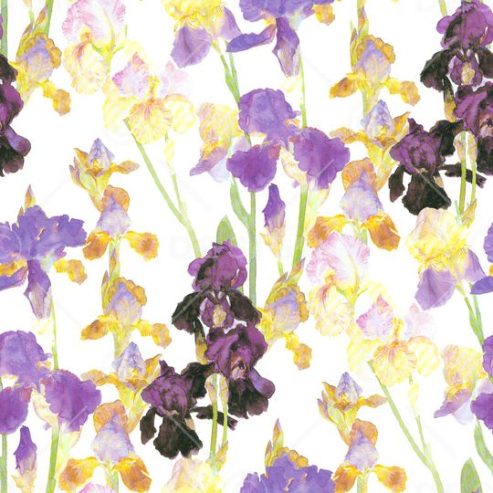 鸢尾花印花花型图片