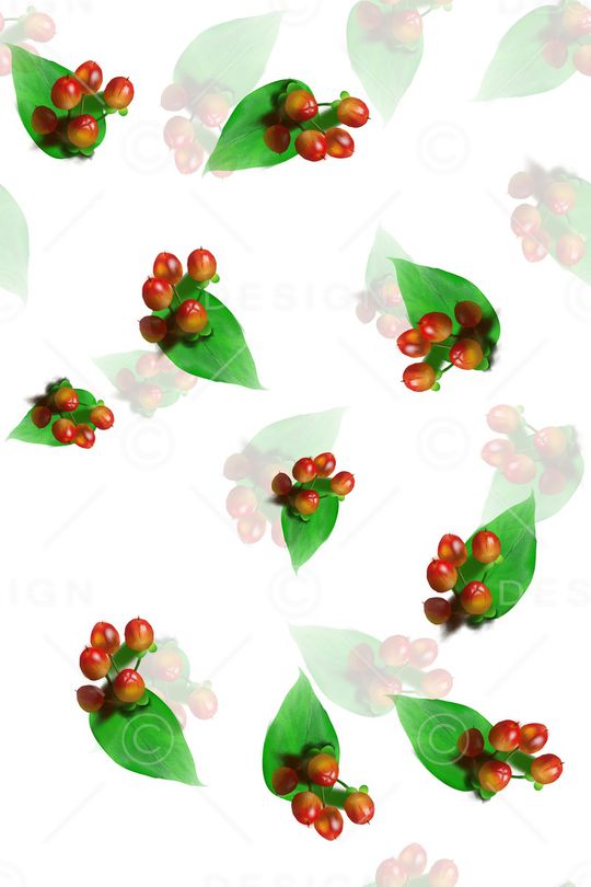 叶子印花花型图片