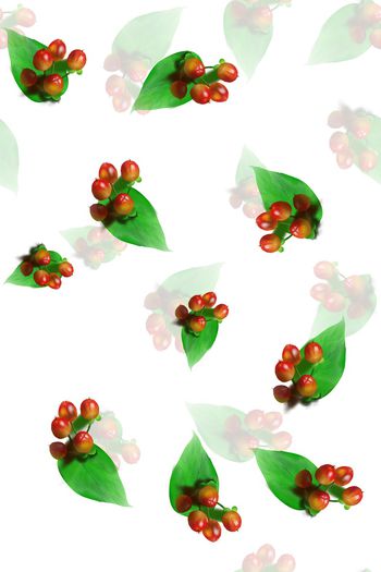 叶子印花花型图片