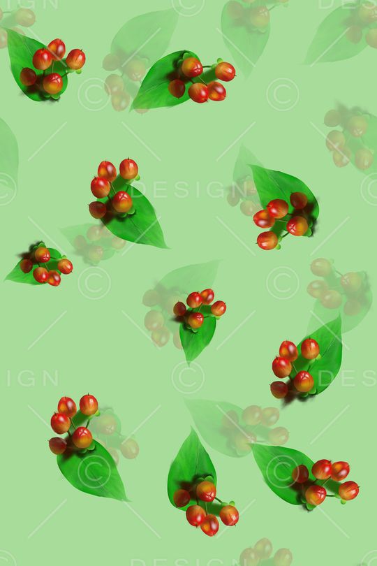 花卉印花花型图片