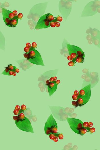 1537303-5.5-1