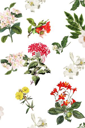 花卉印花花型图片