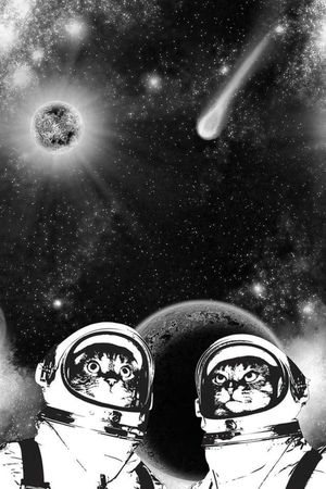 星空印花花型图片