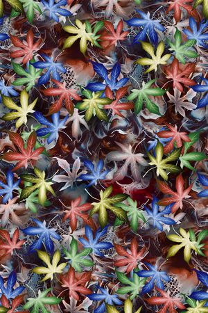 枫叶印花花型图片
