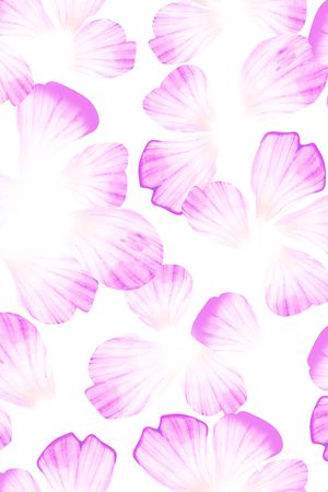 花卉印花花型图片