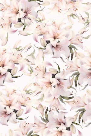 女装印花花型图片