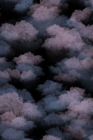 云雾印花花型图片