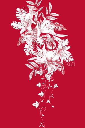 鹦鹉印花花型图片