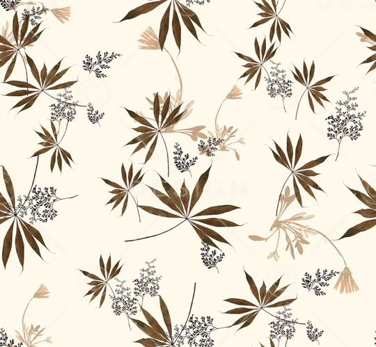 女装印花花型图片