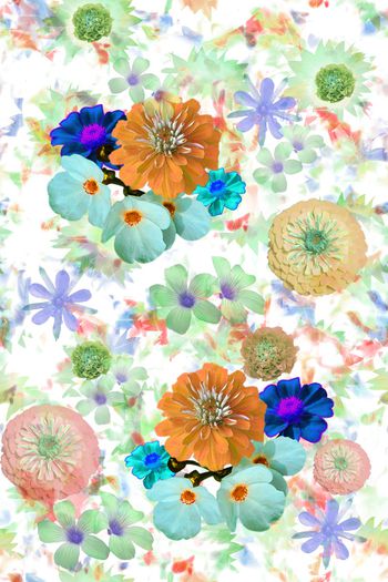 1556145-热带花卉组合1