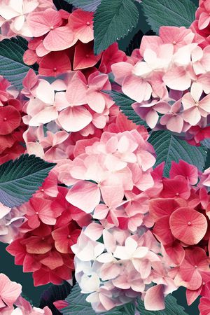 花卉印花花型图片