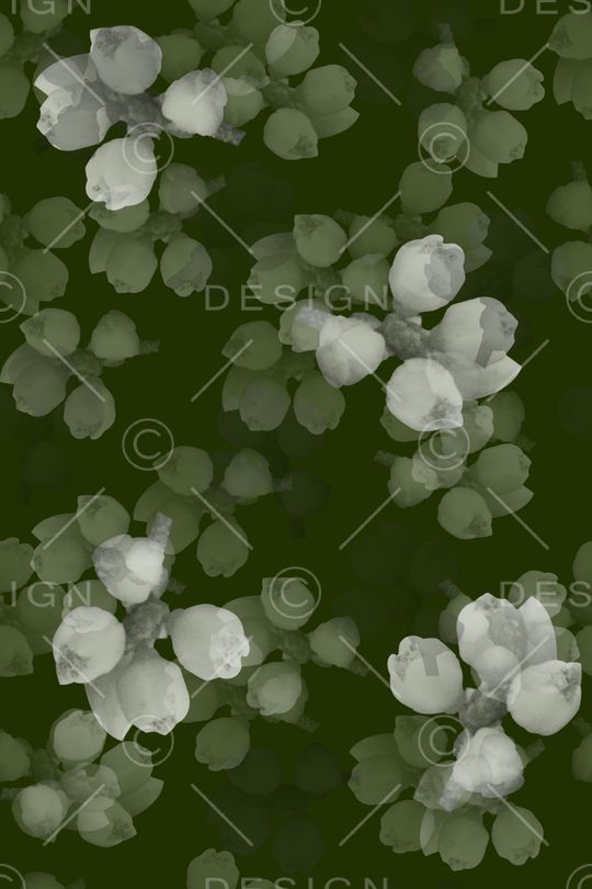 抽象花卉印花花型图片