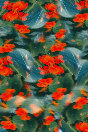 数码花型印花花型图片