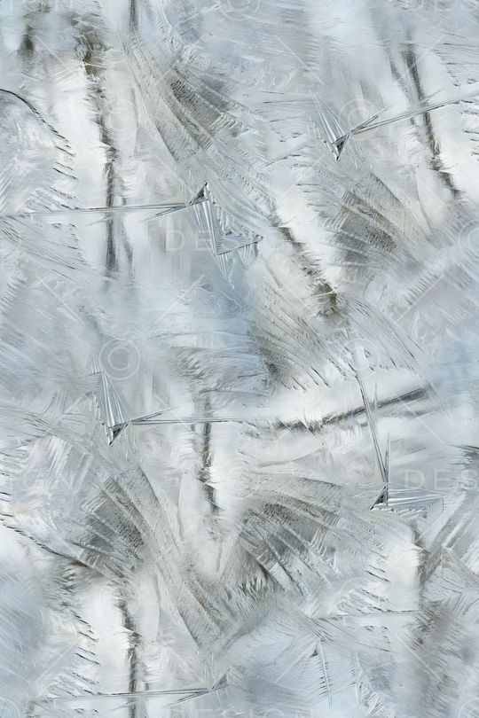 纹理印花花型图片