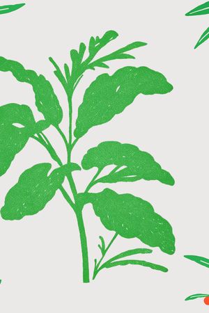 植物印花花型图片