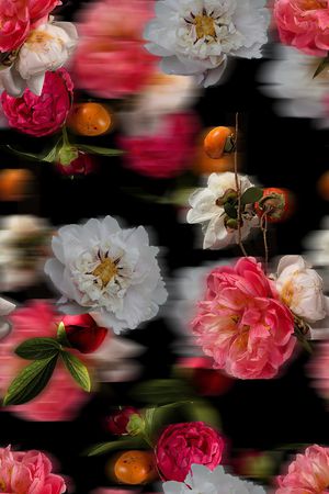真丝印花花型图片