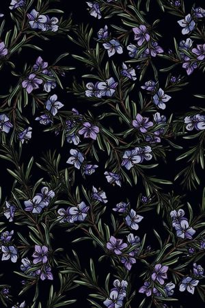 花卉印花花型图片
