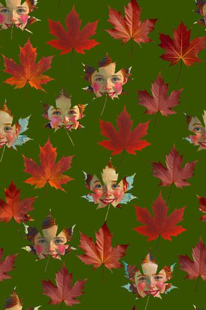 枫叶印花花型图片
