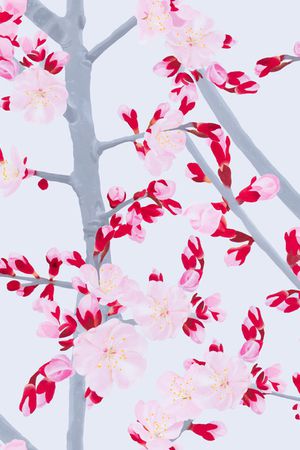 梅花印花花型图片