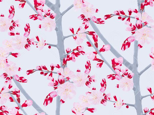 梅花印花花型图片